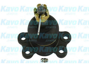 KAVO PARTS SBJ-3501 atramos/vairo trauklė 
 Ašies montavimas/vairavimo mechanizmas/ratai -> Sujungimai -> Atramos/vairo trauklė
310821, 8942245501, 8942245502