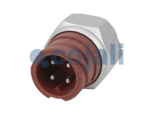 COJALI 2260257 oro slėgio jutiklis, aukščio adaptacija
81274210184, 81274210230