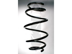 SPIDAN 55107 spyruoklė 
 Pakaba -> Spyruoklės
31 33 1 091 523