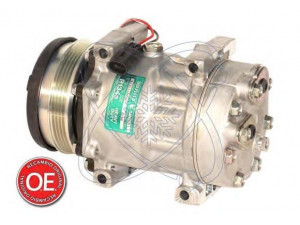 ELECTRO AUTO 20A8148 kompresorius, oro kondicionierius
820161571, 87709785, 87802912, 97202910