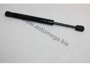 AUTOMEGA 3061107078E0G stabdžių žarnelė 
 Stabdžių sistema -> Stabdžių žarnelės
8E0611707G, 8E0611707G, 8E0611707G