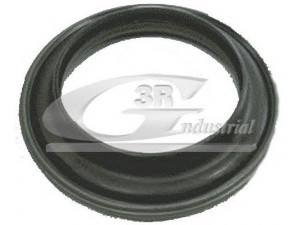 3RG 45200 frikcinis guolis, pakabos statramsčio atramos montavimas 
 Ašies montavimas/vairavimo mechanizmas/ratai -> Montavimas, pakabos statramstis
7700803635, 503519, 503527, 503558