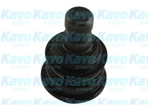 KAVO PARTS SBJ-3017 atramos/vairo trauklė 
 Ašies montavimas/vairavimo mechanizmas/ratai -> Sujungimai -> Atramos/vairo trauklė
545032BA00, 545033BA00, 545302B000