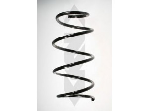 SPIDAN 49789 spyruoklė 
 Pakaba -> Spyruoklės
31 33 1 094 731