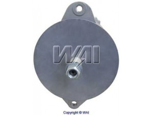 WAIglobal 7613N kintamosios srovės generatorius
48140, 1618318C91, 1664634C91, 527890C91