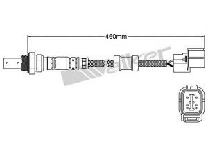 WALKER PRODUCTS 250-54014 lambda jutiklis 
 Variklis -> Variklio elektra
36531PZAE01