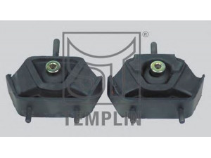 ST-TEMPLIN 08.300.1320.150 variklio montavimas
601 240 09 17