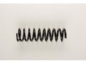 BILSTEIN 36-129485 spyruoklė 
 Pakaba -> Spyruoklės
202 321 09 04