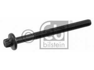 FEBI BILSTEIN 22411 cilindro galvutės varžtas 
 Variklis -> Cilindrų galvutė/dalys -> Cylindrų galvutės varžtas
77 00 107 044, 77 00 869 008