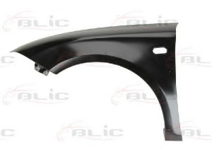 BLIC 6504-04-6613311P sparnas 
 Kėbulas -> Transporto priemonės priekis -> Sparnas/montavimo dalys
1P0821021, 1P0821021A