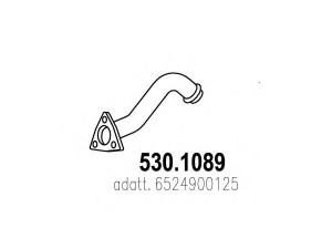 ASSO 530.1089 išleidimo kolektorius
6524900125