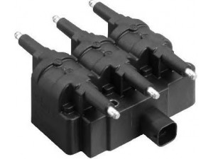 BERU ZS407 ritė, uždegimas
53006565