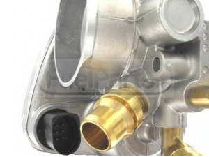 STANDARD TB3126 droselio korpusas 
 Kuro mišinio formavimas -> Mišinio sudarymas -> Droselis/kuro vamzdeliai/vakuumo žarnelė
58 25 259, 55560398, 55560398, 93190367