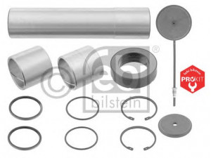 FEBI BILSTEIN 06015 remonto komplektas, pasukamojo kakliuko kaištis 
 Ašies montavimas/vairavimo mechanizmas/ratai -> Pasukamojo kakliuko remonto rinkinys -> Remonto komplektas, karbiuratorius
389 586 00 33, 391 330 00 19, 391 586 00 33