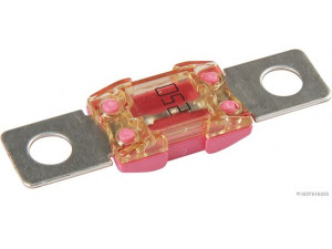 HERTH+BUSS ELPARTS 50295879 saugiklis
200838430, F6OB-14A094-AA, N105 256 07