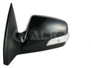 ALKAR 6125648 išorinis veidrodėlis 
 Kėbulas -> Liukai/stogai/durys/stoglangis/sulankstomas stogas -> Durys/dalys
876103U210
