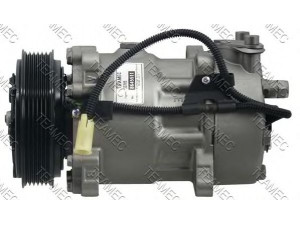 TEAMEC 8645511 kompresorius, oro kondicionierius 
 Oro kondicionavimas -> Kompresorius/dalys
6848095, 6848393, 8601550 