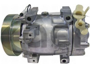 ACR 130623R kompresorius, oro kondicionierius 
 Oro kondicionavimas -> Kompresorius/dalys
6001548723, 6001549991, 8200117767