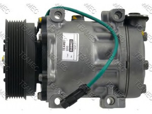 TEAMEC 8600022 kompresorius, oro kondicionierius 
 Oro kondicionavimas -> Kompresorius/dalys
60513512