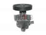 LAUBER 55.5294 hidraulinis siurblys, vairo sistema 
 Vairavimas -> Vairo pavara/siurblys
77 00 795 294