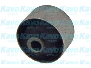 KAVO PARTS SCR-4011 valdymo svirties/išilginių svirčių įvorė 
 Ašies montavimas/vairavimo mechanizmas/ratai -> Valdymo svirtis/pasukamosios svirties sujungimas -> Montavimas/sutvirtinimas
545844D002, 545844D002