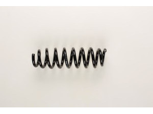 BILSTEIN 36-161386 spyruoklė 
 Pakaba -> Spyruoklės
33 53 6 767 336