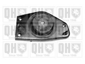 QUINTON HAZELL EM3181 montavimas, automatinė transmisija; montavimas, neautomatinė transmisija 
 Transmisija -> Automatinė pavarų dėžė -> Transmisijos montavimas
7700800035