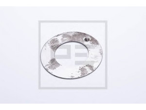 PE Automotive 106.067-00A atraminis žiedas
0 316 184, 316184