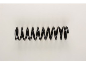 BILSTEIN 36-129751 spyruoklė
201 321 21 04