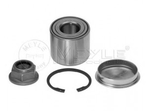 MEYLE 16-14 750 0004 rato guolio komplektas 
 Ašies montavimas/vairavimo mechanizmas/ratai -> Rato stebulė/montavimas -> Rato guolis
7701208058, 7701209504
