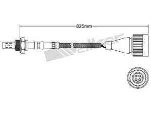WALKER PRODUCTS 250-24025 lambda jutiklis 
 Variklis -> Variklio elektra
11 78 1 727 451