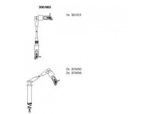 BREMI 300/665 uždegimo laido komplektas 
 Kibirkšties / kaitinamasis uždegimas -> Uždegimo laidai/jungtys
1612559, 90443693