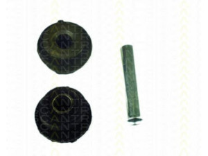 TRISCAN 8500 2328 pakabos komplektas