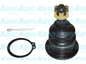 KAVO PARTS SBJ-9066 atramos/vairo trauklė 
 Ašies montavimas/vairavimo mechanizmas/ratai -> Sujungimai -> Atramos/vairo trauklė
4331009015, 4331009030, 433100K010