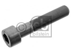 FEBI BILSTEIN 03934 varžtas
000912 010087, 124 990 37 01