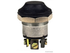 HERTH+BUSS ELPARTS 70490105 jungiklis
42024174, 4202 4174, 81.25503-0109