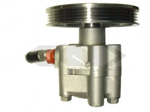 SPIDAN 54142 hidraulinis siurblys, vairo sistema 
 Vairavimas -> Vairo pavara/siurblys
49110-9F600, 49110-AV700, 49110-BA00A