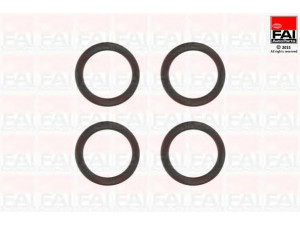 FAI AutoParts IM1157K tarpiklių rinkinys, įsiurbimo kolektorius 
 Variklis -> Cilindrų galvutė/dalys -> Įsiurbimo kolektoriaus tarpiklis/sandarinimo žiedas