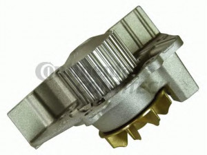 CONTITECH WP6012 vandens siurblys
1201.52, 1201.65, 1201.67, 1201.91