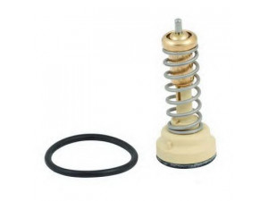 SIDAT 94.617 termostatas, aušinimo skystis 
 Aušinimo sistema -> Termostatas/tarpiklis -> Thermostat
03C121110P, 03C121110P, 03C121110P