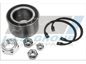 IJS GROUP 10-1181 rato guolio komplektas 
 Ašies montavimas/vairavimo mechanizmas/ratai -> Rato stebulė/montavimas -> Rato guolis
861498625, 871498625, 871498625A