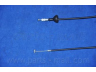 PARTS-MALL PTC-016 gaubto trosas 
 Kėbulas -> Liukai/stogai/durys/stoglangis/sulankstomas stogas -> Gaubtas/dalys/garso izoliacinė medžiaga
96314531, P96314531