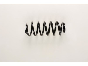 BILSTEIN 36-199532 spyruoklė 
 Pakaba -> Spyruoklės
8P0 511 115R, 8P0 511 115 S