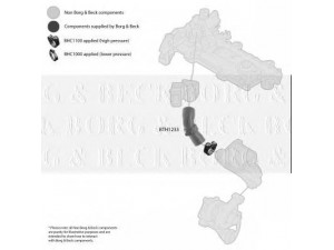 BORG & BECK BTH1233 kompresoriaus padavimo žarna 
 Išmetimo sistema -> Turbokompresorius
143445, 143445, 1434.45