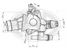 termostatas, aušinimo skystis