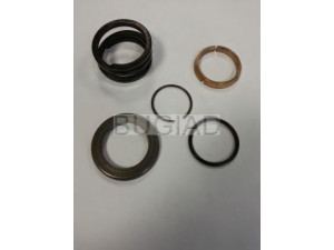 BUGIAD BSP24325 stabdymo diskas, planetinė pavarų dėžė
02M 409 374 A, 02M 409 378 A, 02M 409 379