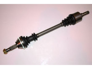PROTECHNIC PRA038 kardaninis velenas 
 Ratų pavara -> Kardaninis velenas
1463105080, 32726K, 3272CH, 3272J0