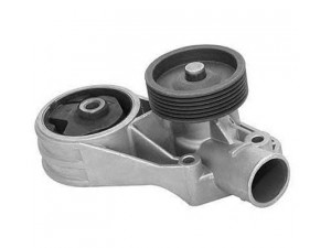 MAGNETI MARELLI 352316171029 vandens siurblys 
 Aušinimo sistema -> Vandens siurblys/tarpiklis -> Vandens siurblys
007070251, 007070257, 047121011B