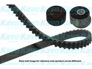 KAVO PARTS DKT-1009 paskirstymo diržo komplektas 
 Techninės priežiūros dalys -> Papildomas remontas