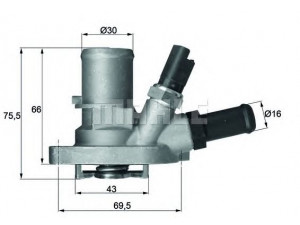 MAHLE ORIGINAL TI 149 88 termostatas, aušinimo skystis 
 Aušinimo sistema -> Termostatas/tarpiklis -> Thermostat
55202371, 1 535 448